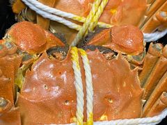 -黄记大闸蟹专卖店·活蟹·醉蟹
