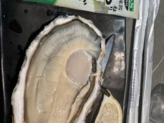 -生蚝园