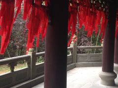 -天下玉苑