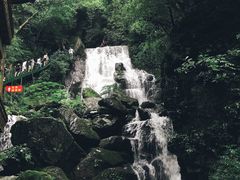 -藏龙百瀑风景区