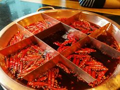 -宽巷子成都火锅(南站店)