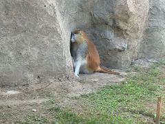 -齐齐哈尔龙沙动植物园