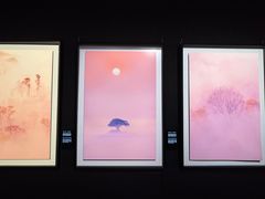 -罗红摄影艺术馆