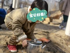 -金宝幼儿园(通州校区)