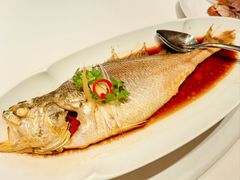 经典清蒸大黄花鱼-满满海佛跳墙(千禧店)