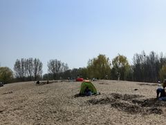-东郊湿地公园