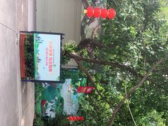 -广州长隆飞鸟乐园