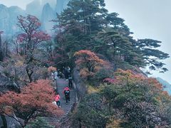 -黄山风景区