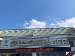 -中国科学院西双版纳热带植物园