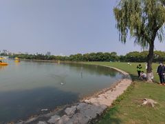 -黄兴公园