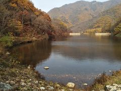 -龙道沟景区