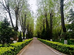 -中央戏剧学院(昌平校区)