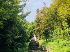 -凤栖山