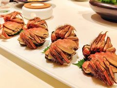 茅台醉蟹-海味观(老西门店)