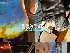 -咖法森林·咖啡  酒吧(天河店)