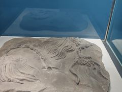 -重庆欢乐海底世界