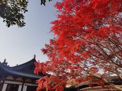 -常熟方塔园