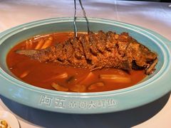 -阿五黄河大鲤鱼(纬三路店)