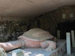 -上海佘山国家森林公园天马山园