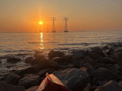 -宝安西湾红树林湿地公园