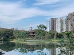 -四海公园(南山区)