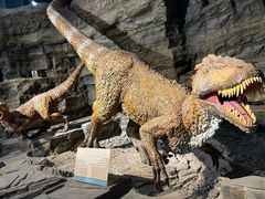 -辽宁古生物博物馆