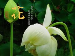 -成都市文化公园