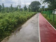 -绿堤公园