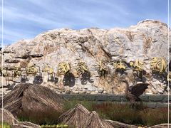 -北京西山国家森林公园