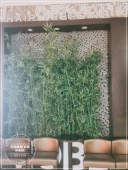 -木北造型