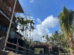 -海南槟榔谷黎苗文化旅游区