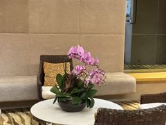 -北京朝阳悠唐皇冠假日酒店