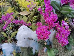 -北京植物园-展览温室