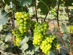 -兴芮温泉度假区