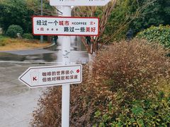 -洋湖国家湿地公园