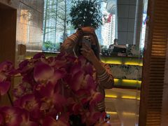 -香港都会海逸酒店