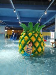 -宝燕乐园(闵行旗舰店)