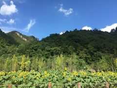 -贵阳市花溪国家城市湿地公园