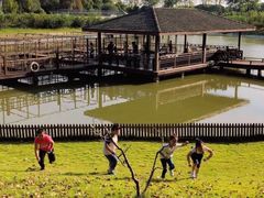 -太阳岛度假酒店