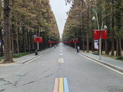 -日照海滨国家森林公园