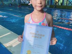 -鲨鱼游泳培训中心