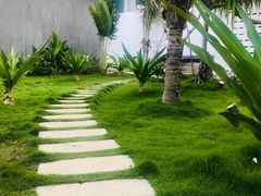 -芽庄MP泰式海鲜海景餐厅