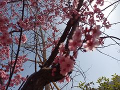 -木塔寺遗址生态公园