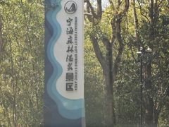 -宁海森林温泉