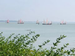 -贡湖湾湿地公园