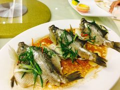 -松雅轩(大源店)