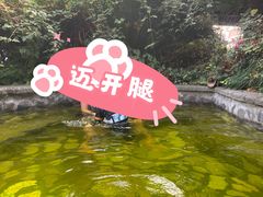 -杭州第一世界大酒店·云曼温泉