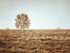 -塞罕坝国家级自然保护区