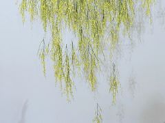 -怪咖·joker陈楠