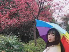 -乌山风景区